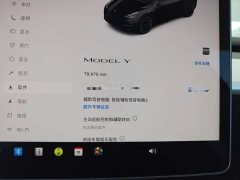 Tesla Model Y Rear-Wheel Drive - ფოტო 12