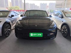 Tesla Model Y Rear-Wheel Drive - ფოტო 3
