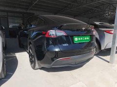 Tesla Model Y Rear-Wheel Drive - ფოტო 5