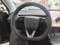 Tesla Model Y Rear-Wheel Drive - ფოტო 5