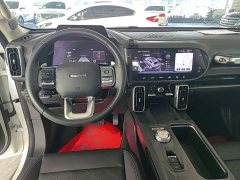 Great Wall Dachshund 2021 2.0T DCT Four-Wheel Drive Chinese Rural Dog Edition - ფოტო 11