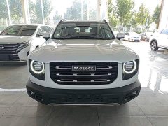 Great Wall Dachshund 2021 2.0T DCT Four-Wheel Drive Chinese Rural Dog Edition - ფოტო 3