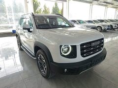 Great Wall Dachshund 2021 2.0T DCT Four-Wheel Drive Chinese Rural Dog Edition - ფოტო 4