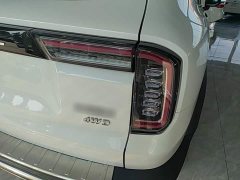 Great Wall Dachshund 2021 2.0T DCT Four-Wheel Drive Chinese Rural Dog Edition - ფოტო 8