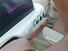 Wuling Binguo 2024 333km Joy Edition - ფოტო 14