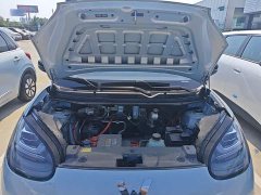 Wuling Binguo 2024 333km Joy Edition - ფოტო 20