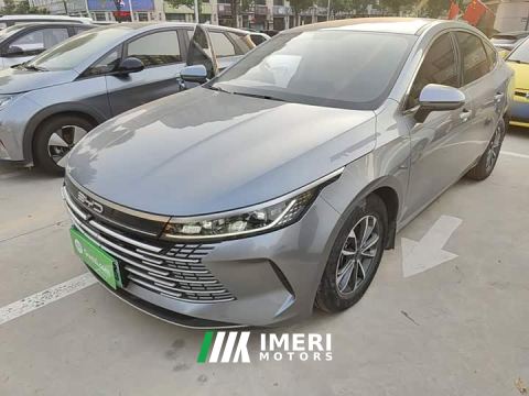 2024 BYD Destroyer 05 Glory Edition DM-i 55KM Luxury