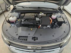 BYD Destroyer 05 Glory Edition DM-i 55KM Luxury - ფოტო 20