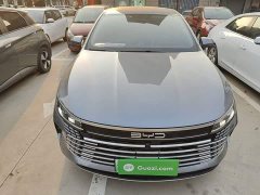 BYD Destroyer 05 Glory Edition DM-i 55KM Luxury - ფოტო 3
