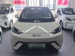 BYD Seagull 305km Vitality Edition - ფოტო 3