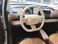 Changan Lumin Treasure Edition 205km Cool Love White CATL - ფოტო 11