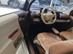 Changan Lumin Treasure Edition 205km Cool Love White CATL - ფოტო 16