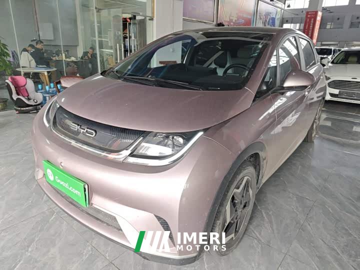 BYD Dolphin 405km Fashion Edition - ავტომობილი ჩინეთიდან