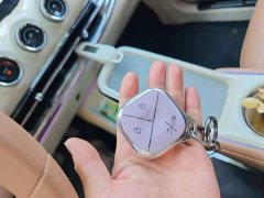 Wuling Binguo 333km Lingxi Connected Edition - ფოტო 9