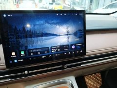 Wuling Bingguo S 325km Deluxe Edition - ფოტო 13