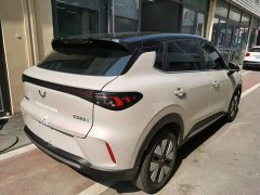 Wuling Bingguo S 325km Deluxe Edition - ფოტო 7