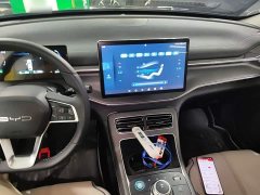 BYD Destroyer 05 Glory Edition DM-i 55KM Luxury - ფოტო 10