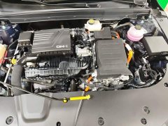 BYD Destroyer 05 Glory Edition DM-i 55KM Luxury - ფოტო 20