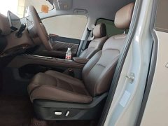 Wuling Starlight 730 New Energy PHEV 125km Luxury - ფოტო 15