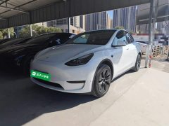 Tesla Model Y Rear-Wheel Drive - ფოტო 1
