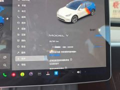 Tesla Model Y Rear-Wheel Drive - ფოტო 12