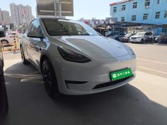 Tesla Model Y Rear-Wheel Drive - ფოტო 4