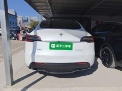 Tesla Model Y Rear-Wheel Drive - ფოტო 6