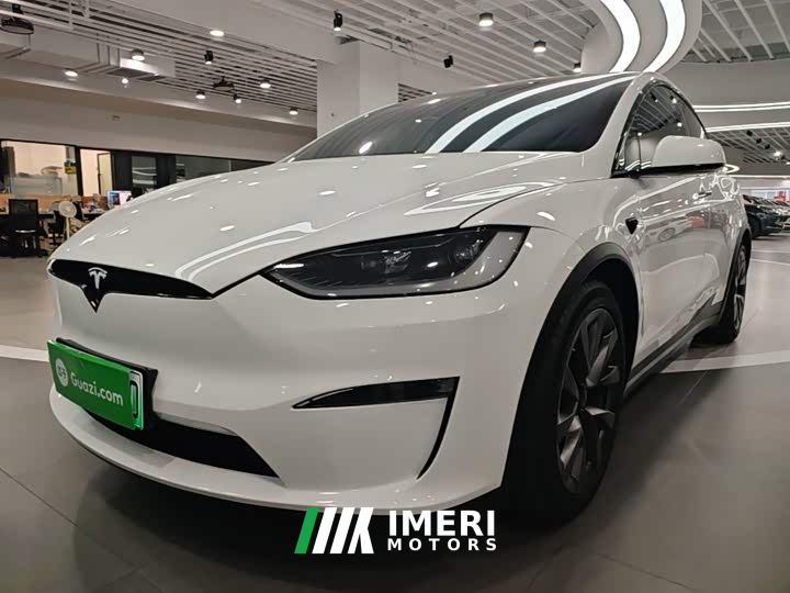 Tesla Model X Dual Motor All-Wheel Drive