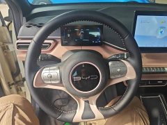 BYD Seagull Freedom Edition - ფოტო 11