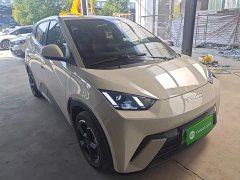 BYD Seagull Freedom Edition - ფოტო 4