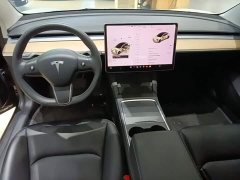 Tesla Model 3 Rear-Wheel Drive - ფოტო 10