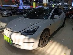 Tesla Model 3 Rear-Wheel Drive - ფოტო 2