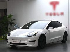 Tesla Model 3 Standard Range RWD Upgrade - ფოტო 1