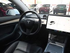Tesla Model 3 Standard Range RWD Upgrade - ფოტო 11