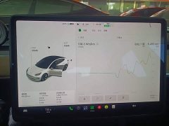 Tesla Model 3 Standard Range RWD Upgrade - ფოტო 12