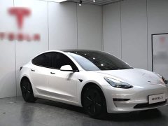 Tesla Model 3 Standard Range RWD Upgrade - ფოტო 4