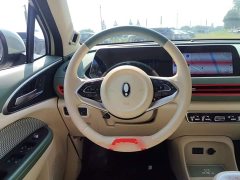 ORA Good Cat Morandi Edition 400km Standard Range Luxury Trim Ternary Lithium Battery - ფოტო 15