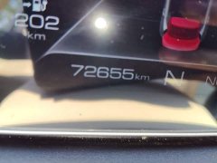 ORA Good Cat Morandi Edition 400km Standard Range Luxury Trim Ternary Lithium Battery - ფოტო 17
