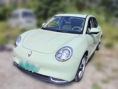 ORA Good Cat Morandi Edition 400km Standard Range Luxury Trim Ternary Lithium Battery - ფოტო 3