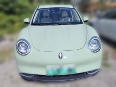ORA Good Cat Morandi Edition 400km Standard Range Luxury Trim Ternary Lithium Battery - ფოტო 5