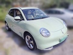 ORA Good Cat Morandi Edition 400km Standard Range Luxury Trim Ternary Lithium Battery - ფოტო 6