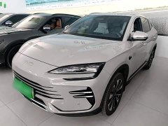 BYD Song Plus New Energy DM-i Intelligent Driving 112KM Premium - ფოტო 1