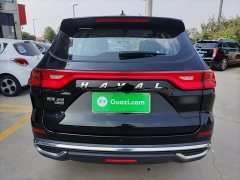 Haval M6 PLUS 1.5T Manual Luxury Smart Connected Edition - ფოტო 6