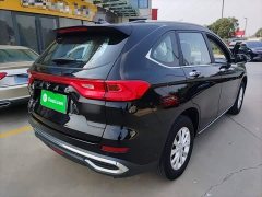 Haval M6 PLUS 1.5T Manual Luxury Smart Connected Edition - ფოტო 7