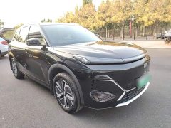 Geely Galaxy Starship 7 120km Voyage Edition - ფოტო 4