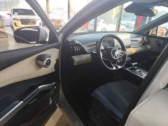 BYD Yuan Plus 2022 510KM Flagship - ფოტო 16