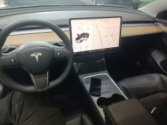 Tesla Model 3 Standard Range RWD Upgrade 3D6 - ფოტო 10