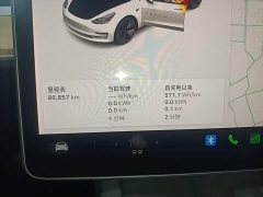 Tesla Model 3 Standard Range RWD Upgrade 3D6 - ფოტო 12