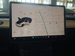 Tesla Model 3 Standard Range RWD Upgrade 3D6 - ფოტო 13