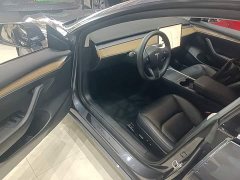 Tesla Model 3 Standard Range RWD Upgrade 3D6 - ფოტო 16